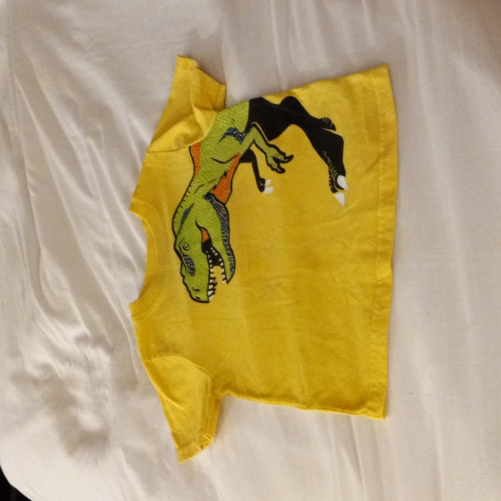 Boys 18m Dino t-shirt
